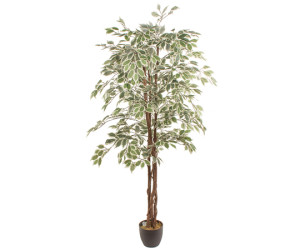 Dirbtinis augalas FICUS 1.80m